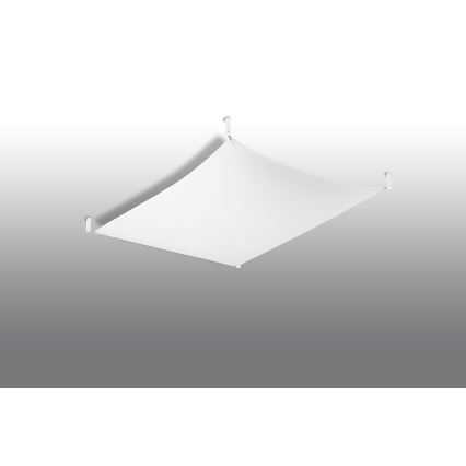 LED laelamp LUNA 2xG13/8,5W/230V 80x105 cm valge