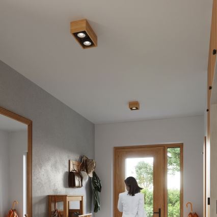 Laevalgusti QUATRO AR111 2xGU10/40W/230V pöök