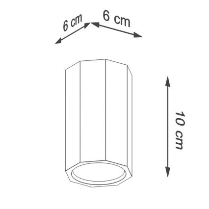 Kohtvalgusti ZEKE 1xGU10/40W/230V 10 cm tamm