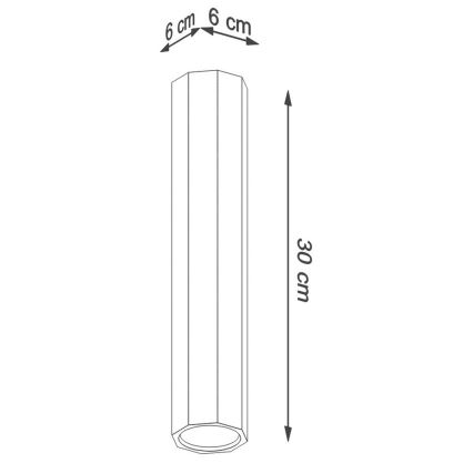 Kohtvalgusti ZEKE 1xGU10/40W/230V 30 cm tamm