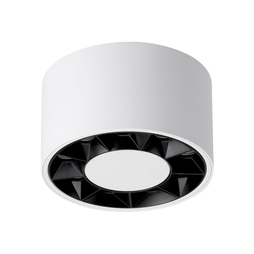 LED Kohtvalgusti DIO LED/10W/230V valge