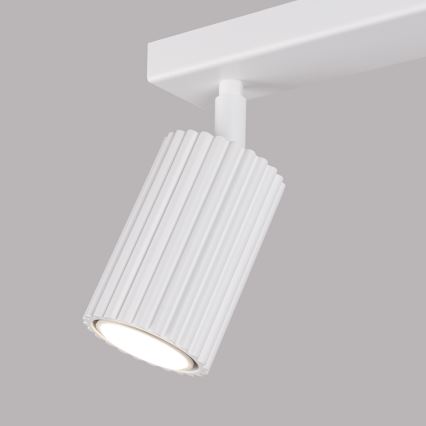 Kohtvalgusti KARBON 2xGU10/10W/230V valge