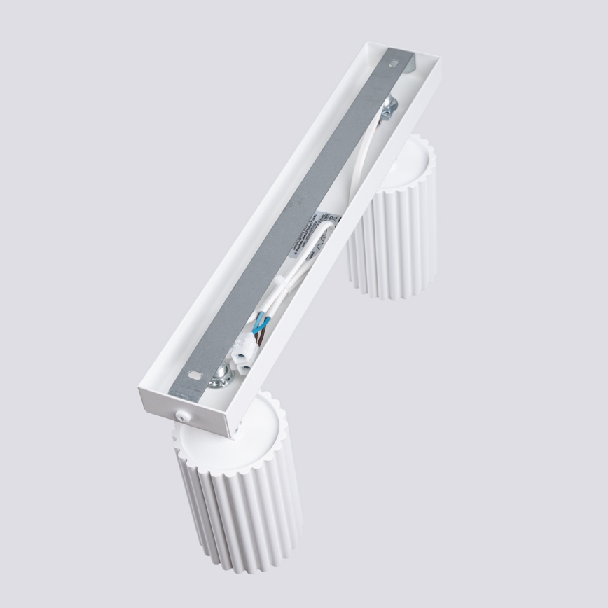 Kohtvalgusti KARBON 2xGU10/10W/230V valge