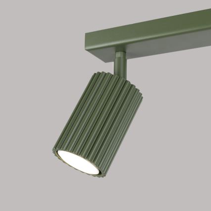 Kohtvalgusti KARBON 2xGU10/10W/230V roheline