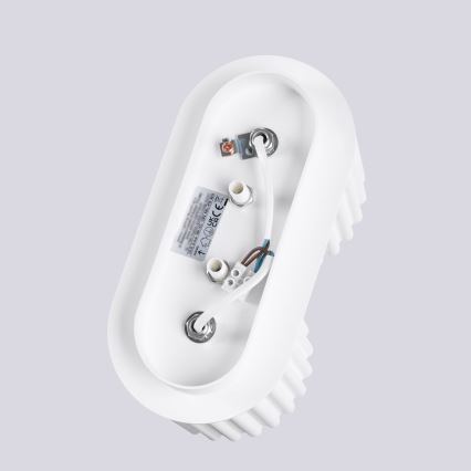 Suunatav laelamp AURA 2xGU10/10W/230V valge