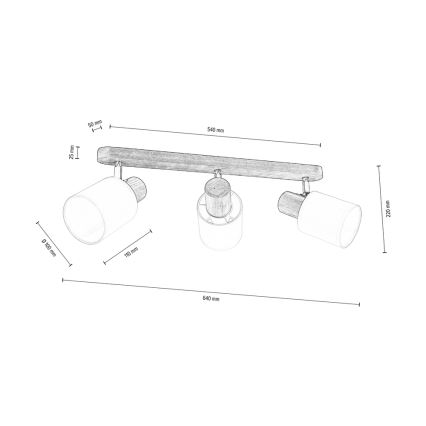 Kohtvalgusti lakke TRENDY 3xE27/15W/230V mänd - FSC sertifitseeritud