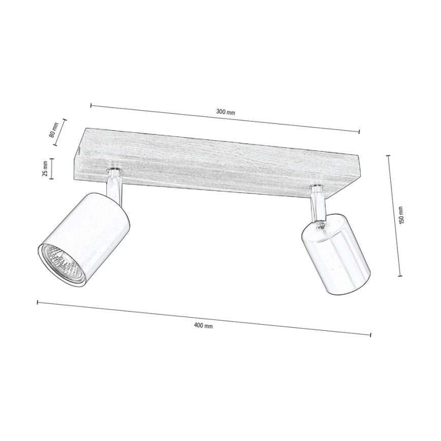 Kohtvalgusti lakke MANARA 2xGU10/5W/230V mänd