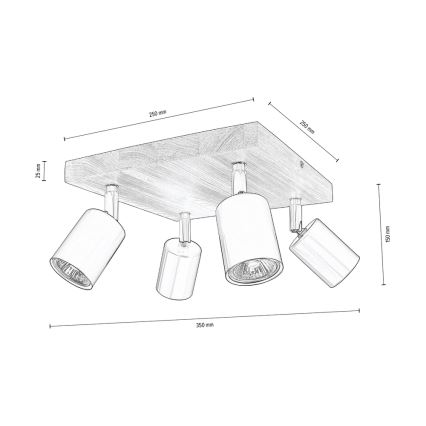 Kohtvalgusti lakke MANARA 4xGU10/5W/230V mänd - FSC sertifitseeritud