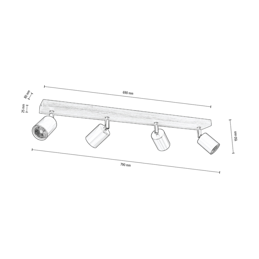 Kohtvalgusti lakke MANARA 4xGU10/5W/230V mänd