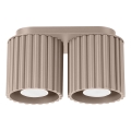 Spottvalgusti AURA 2xGU10/10W/230V taupe