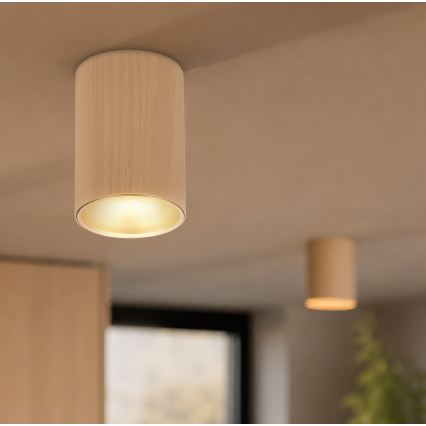 Spottvalgusti TUBE 1xGU10/15W/230V beež
