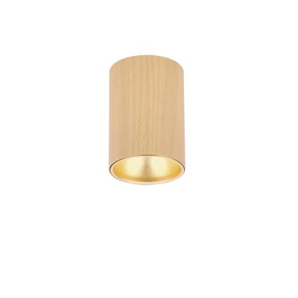 Spottvalgusti TUBE 1xGU10/15W/230V beež