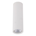 Spottvalgusti TUNE M 1xGU10/10W/230V 17 cm valge