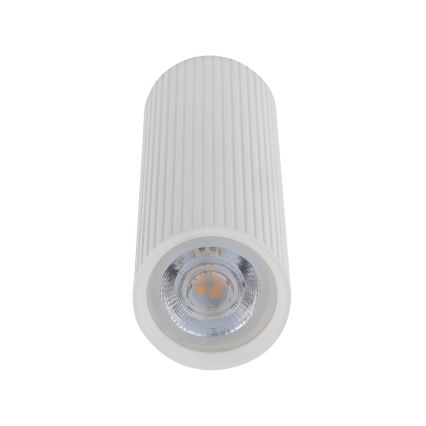 Spottvalgusti TUNE M 1xGU10/10W/230V 17 cm valge