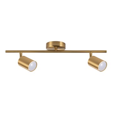 Spotvalgusti GOLDIE 2xGU10/10W/230V kuldne