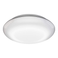Steinel 035440 - LED Välivalgusti anduriga QUATTRO LED/10W/230V IP54