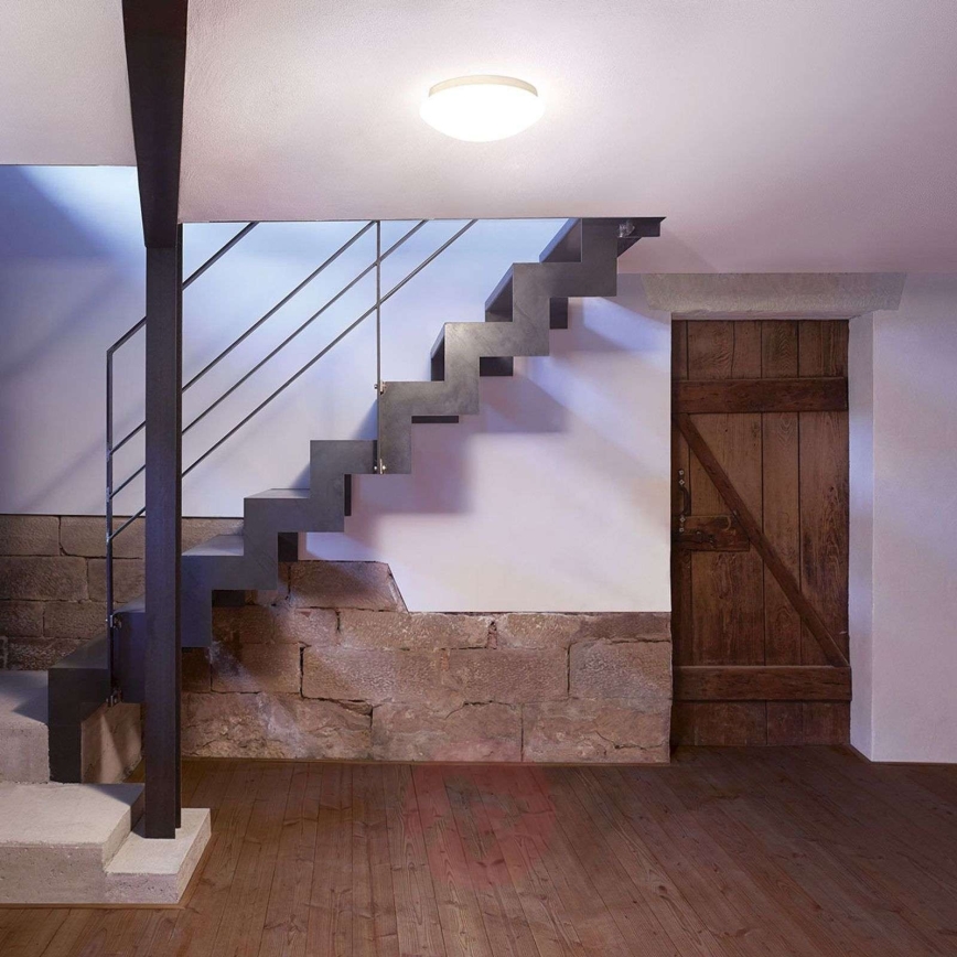 Steinel 056070 - LED Välivalgusti koos anduriga RS PRO LED/16W/230V IP54