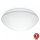 Steinel 056131 - LED Vannitoa valgusti RS PRO LED P3 LED/19,5W/230V IP54 3000K