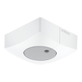Steinel 057411 - Valgusandur DUAL-E DALI2 kandiline valge