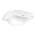Steinel 064396 - Kohaloleku andur süvistatav IR QUATTRO HD-2 BT-IPD