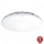 Steinel 068042 - LED Laevalgusti anduriga RS PRO S30 SC 25,8W/230V 4000K