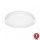 Steinel 069704-LED Vannitoa laevalgusti RSPRO P1 LED/8,2W/230V 3000K IP54