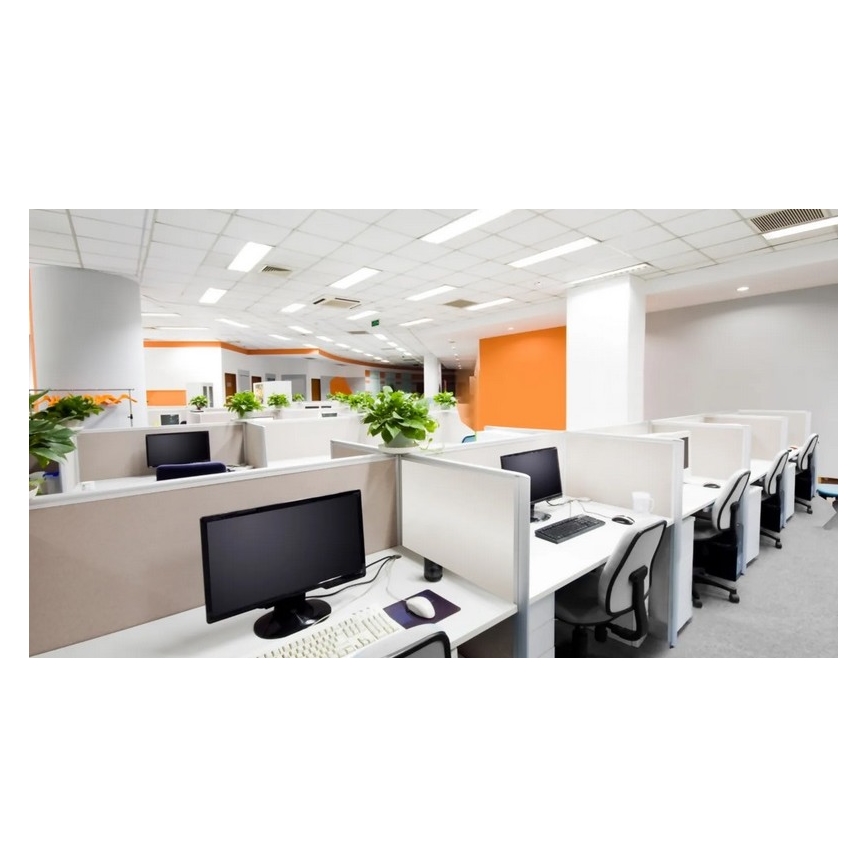Steinel 079574 - Kohalolekuandur DualTech COM1 valge