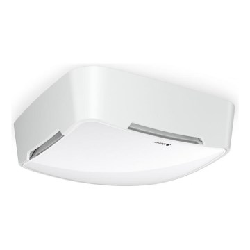 Steinel 084110 - Multiandur True Presence V2 BT-IPD AP WS valge