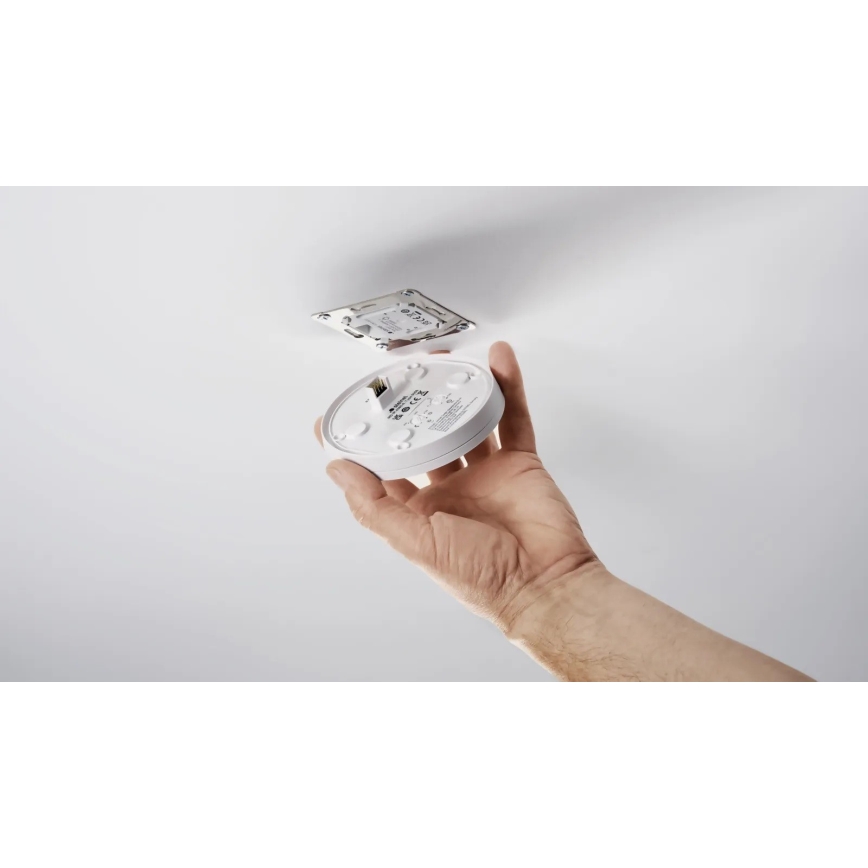 Steinel 088255 - Liikumisandur süvistatav kohaloleku anduriga PD-24 ECO DALI-2 360° valge