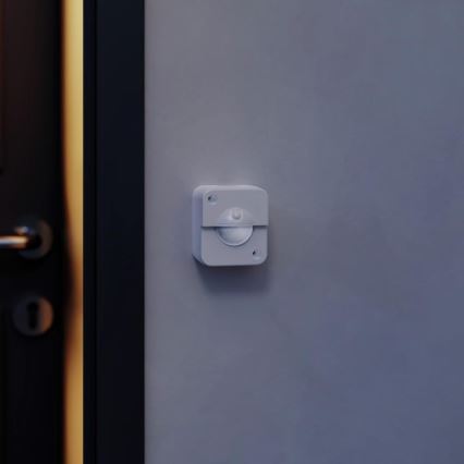 STEINEL 66048 - Väli infrapunaandur IR 180 AP 180° IP54 valge