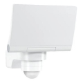STEINEL 82093 - LED Prožektor anduriga XLED PROTECT LED/13,6W/230V IP44 valge
