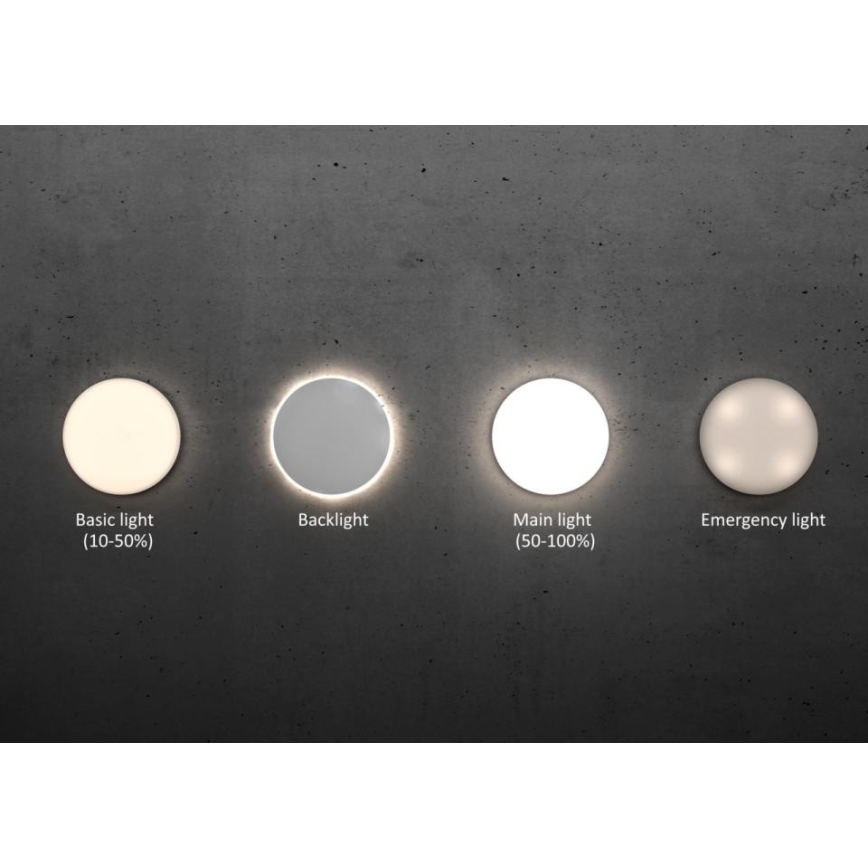 Steinel - LED Hämardatav laevalgusti anduriga RSPROR20BASIC 15,3W/230V IP40 3000K