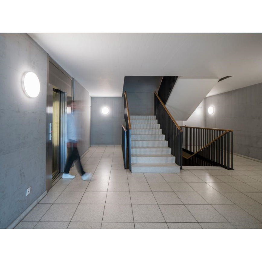 Steinel - LED Hämardatav laevalgusti anduriga RSPROR30BASICSC 23,22W/230V IP40 3000K
