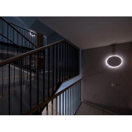 Steinel - LED Hämardatav laevalgusti anduriga RSPROR30QBASICSC 23,26W/230V IP40 3000K