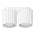 Suunatav laelamp AURA 2xGU10/10W/230V valge