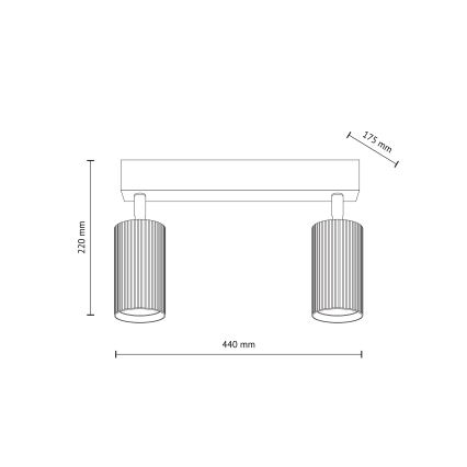 Suunatav laelamp TUNE 2xGU10/10W/230V must/pruun