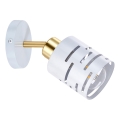 Suunatav seinavalgusti ELEN 1xE27/35W/230V valge/kuldne