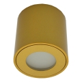 Suunatav välisvalgusti FARA 1xGU10/30W/230V IP54 kuldne