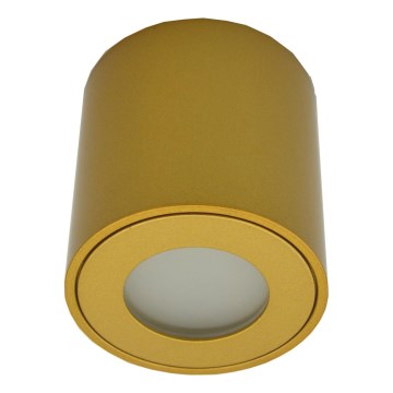 Suunatav välisvalgusti FARA 1xGU10/30W/230V IP54 kuldne
