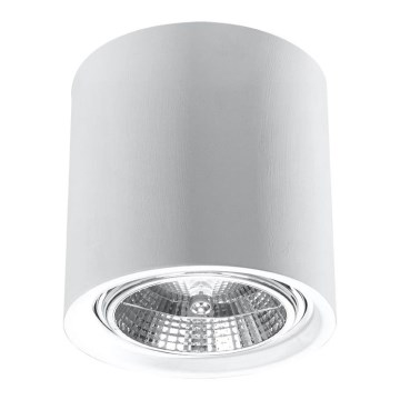 Suunavalgusti KALU 1xGU10/ES111/40W/230V