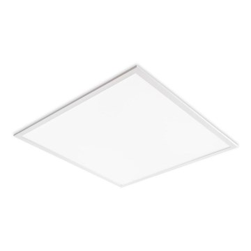 Süvistatav LED-laepaneel DAVRO LED/40W/230V 4000K 59,5x59,5 cm valge