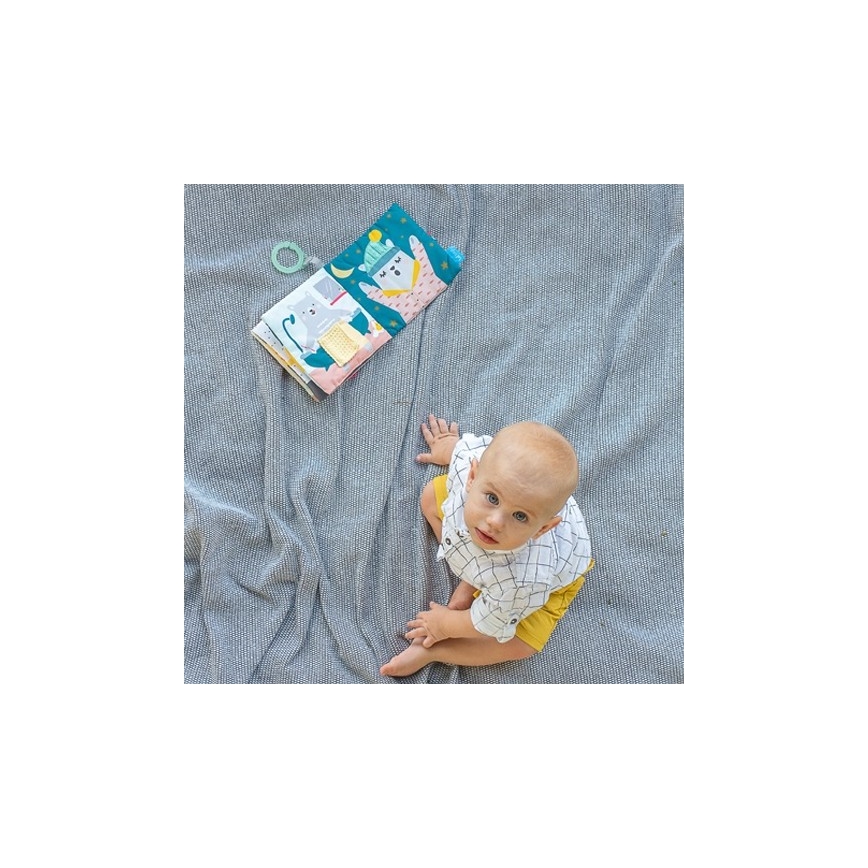 Taf Toys - Beebi pehme raamat karu