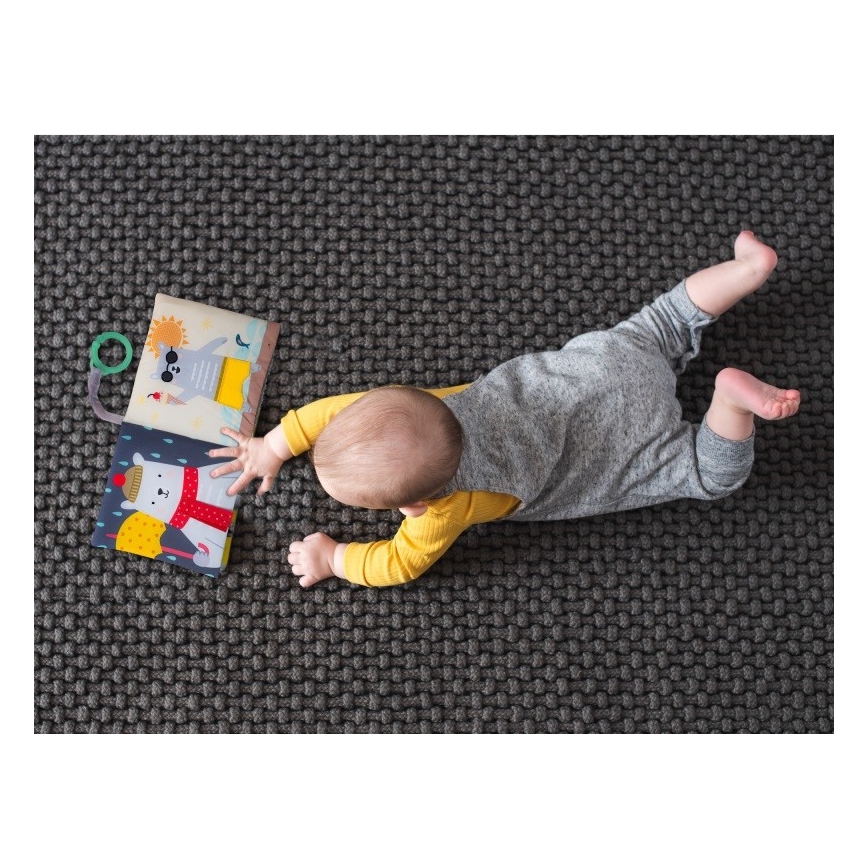 Taf Toys - Beebi pehme raamat karu