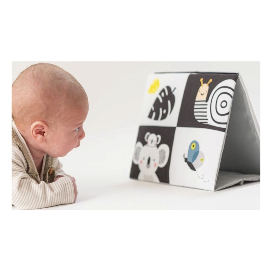 Taf Toys - Beebi pehme raamat peegliga must