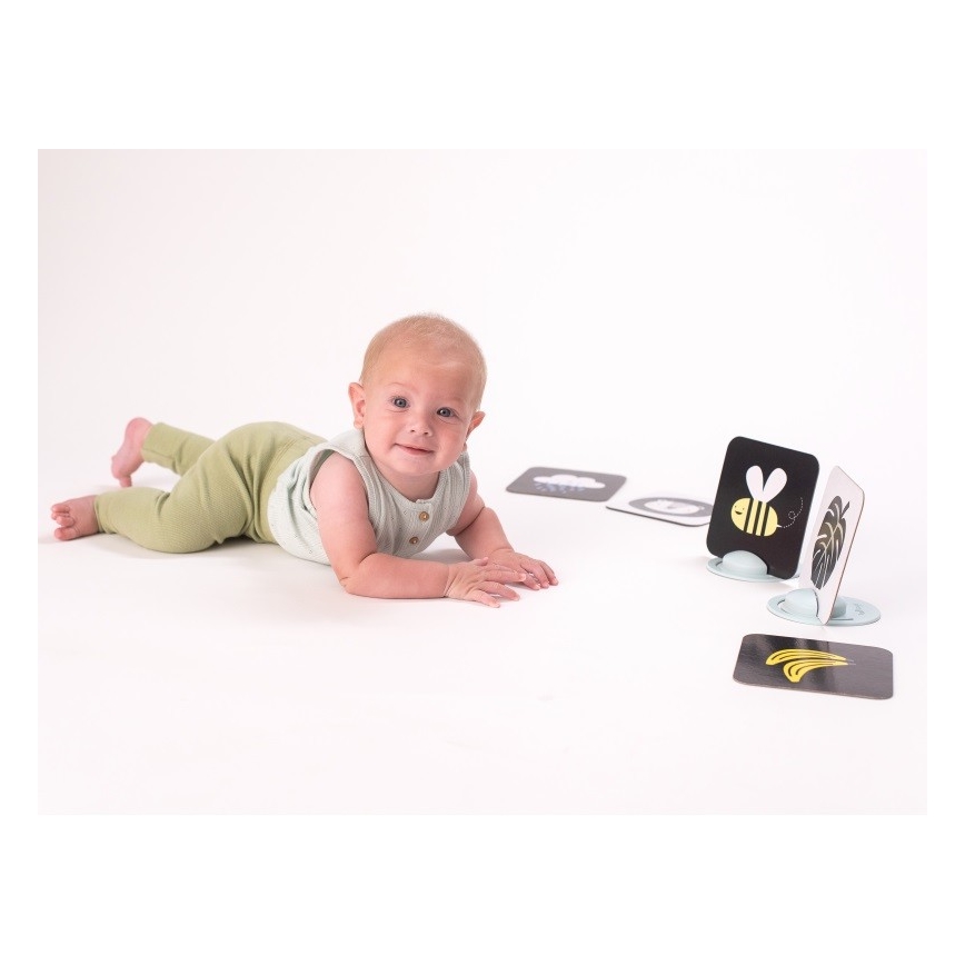 Taf Toys - Beebi tegevuskaardid 18 osaline