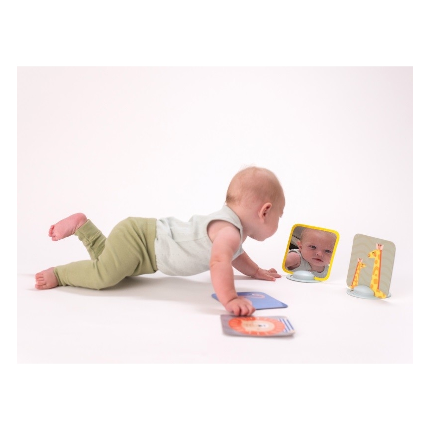 Taf Toys - Beebi tegevuskaardid 18 osaline