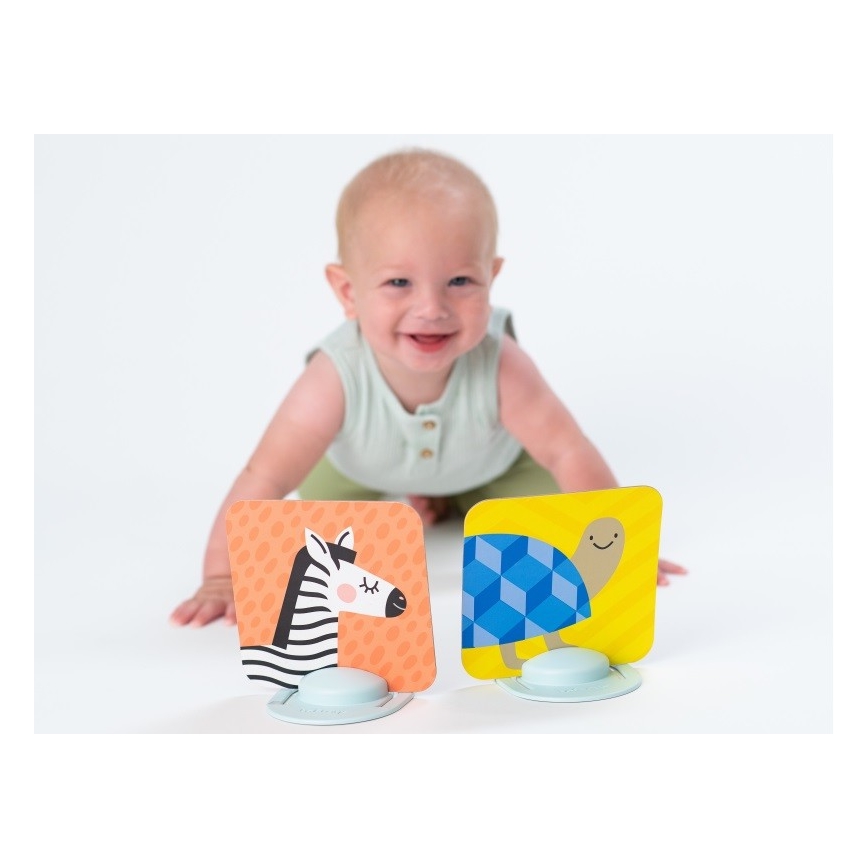 Taf Toys - Beebi tegevuskaardid 18 osaline