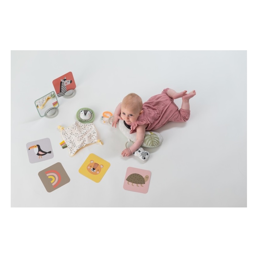 Taf Toys - Kinkekarp HELLO BABY