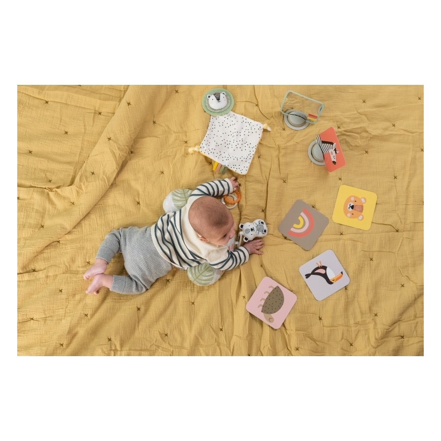 Taf Toys - Kinkekarp HELLO BABY