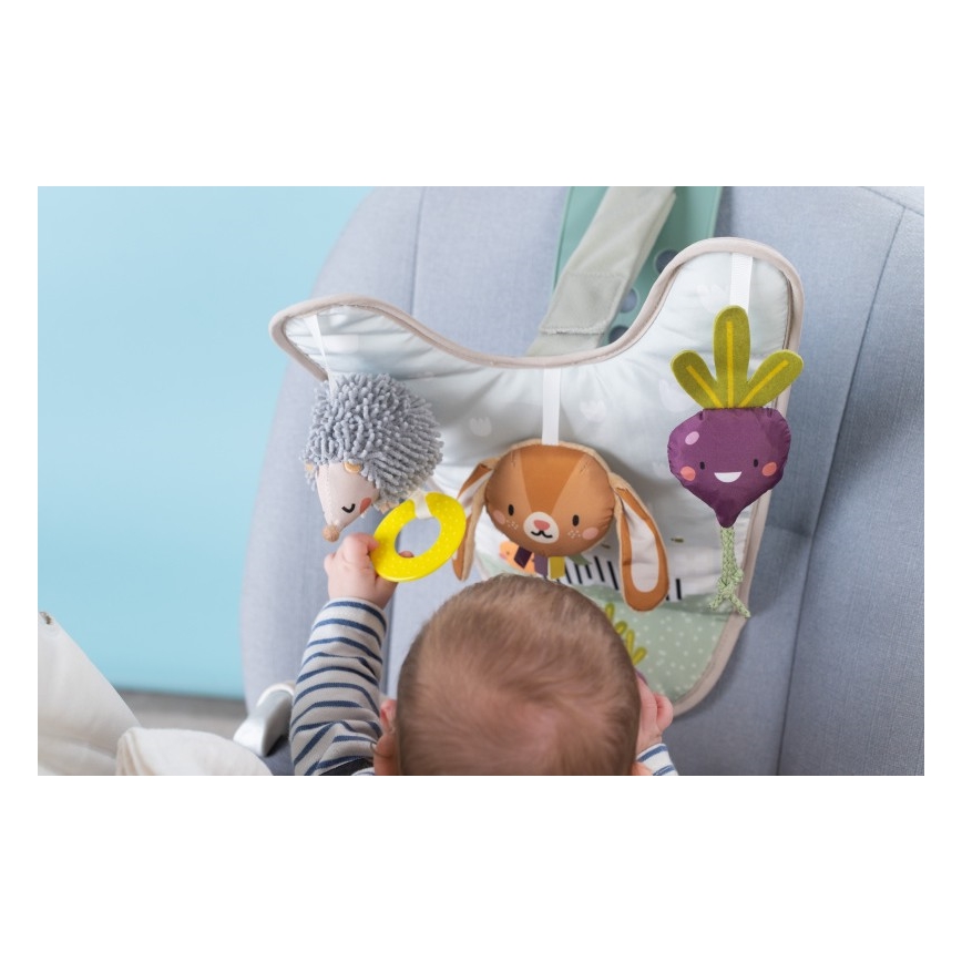 Taf Toys - Mängukeskus autosse Aed